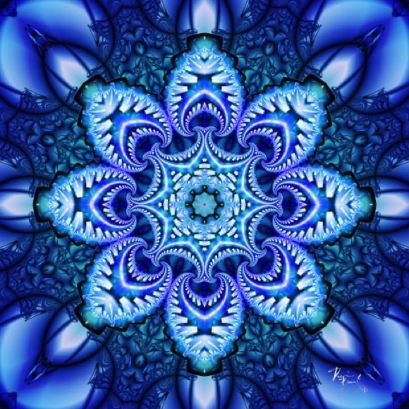 Bags, Apparel, Jewelry - Picture 10 of 16